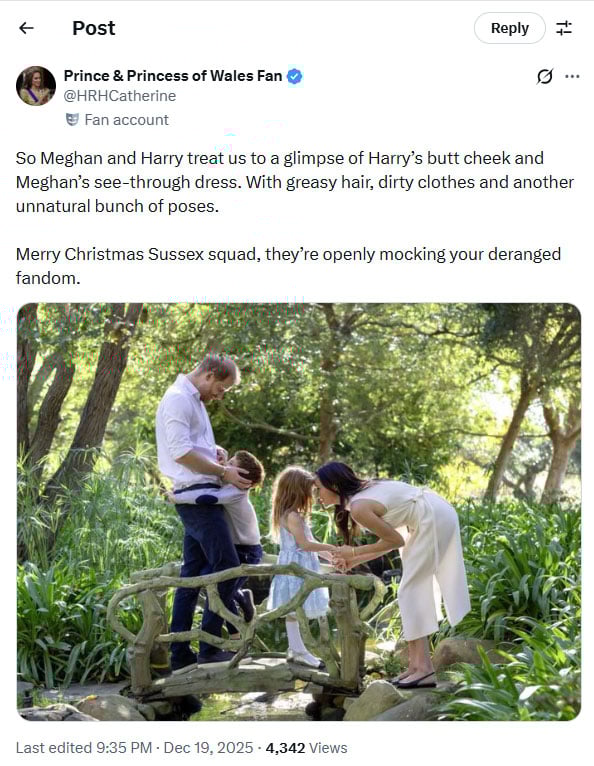 Prince Harry, Meghan family Christmas photo leaves fans divided