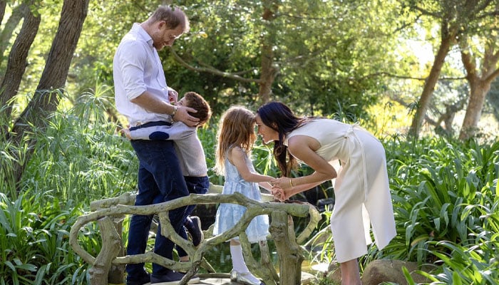 Prince Harry, Meghan family holiday photo leaves fans divided