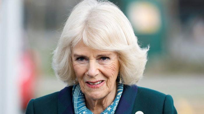 Queen Camilla takes big risk ‘stepping into' Royal Lodge rift with Andrew