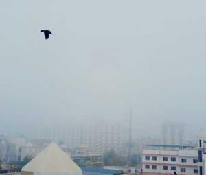 Dense fog over Karachi reduces visibility, disrupts flight operations