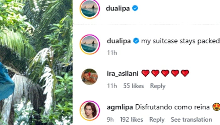 Dua Lipa enjoys beach break after emotional Mexico city concert