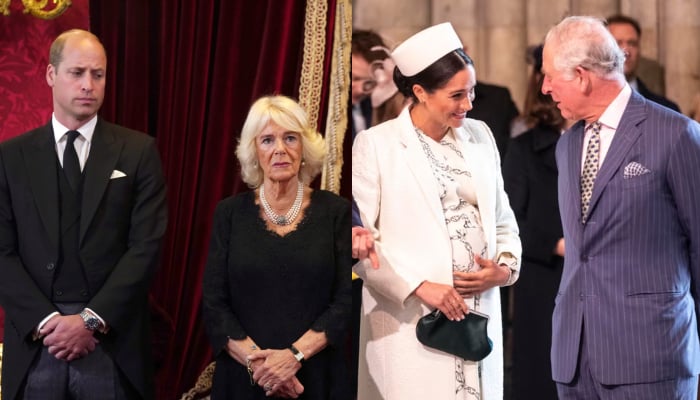King Charles faces opposition from William, Camilla over decision for Meghan