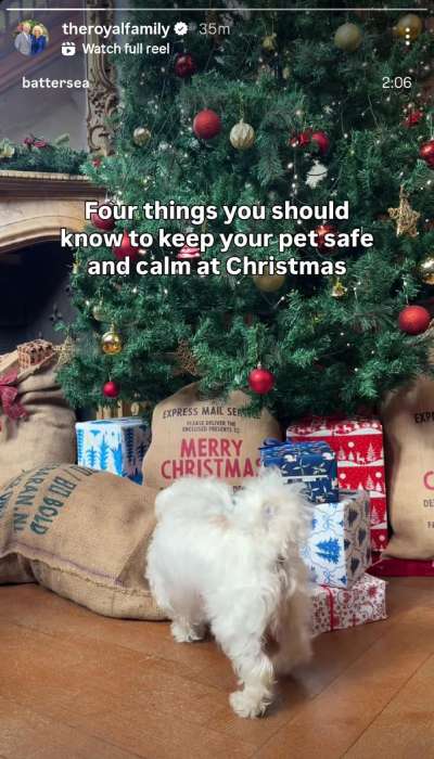 Queen Camilla leads Royal Familys holiday partnership with Battersea