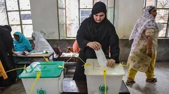 'Punjab LG polls to be on party basis, govt assures LHC