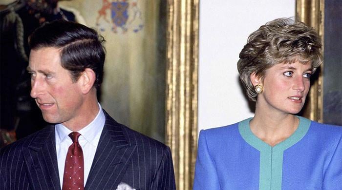King Charles and Diana resurface in Epstein's secret wardrobe find