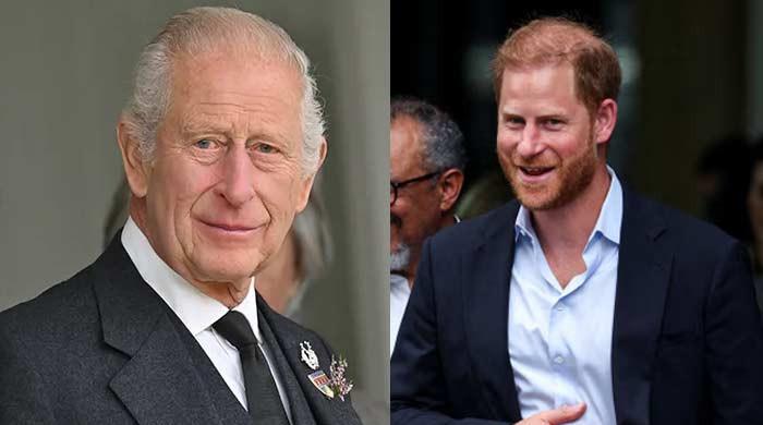 Prince Harry, King Charles' key meeting details revealed amid Christmas cheer
