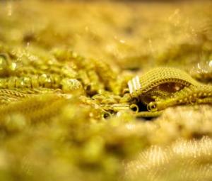 Gold hits record high on Fed rate-cut bets; silver scales fresh peak