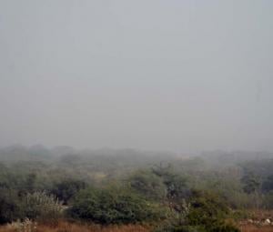 Karachi likely to experience noticeable drop in temperature from tomorrow