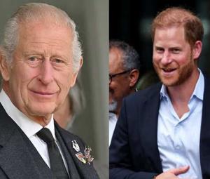 Prince Harry, King Charles' key meeting details revealed amid Christmas cheer