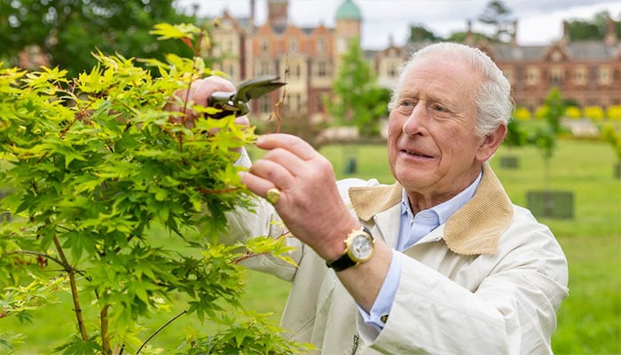 King Charles gets his hands dirty in the name of nature