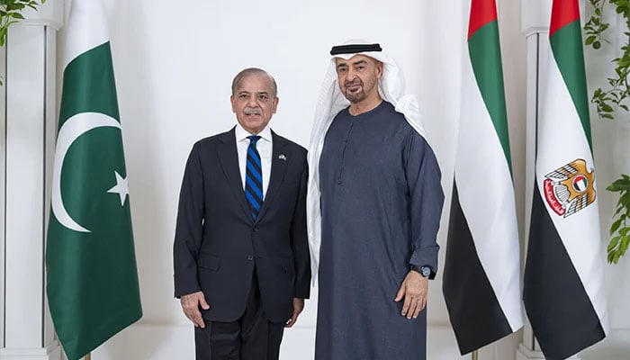 Prime Minister Shehbaz Sharif calls on UAE President Sheikh Mohamed bin Zayed Al Nahyan at Qasr Al Shati in Abu Dhabi, June 12, 2025. — WAM