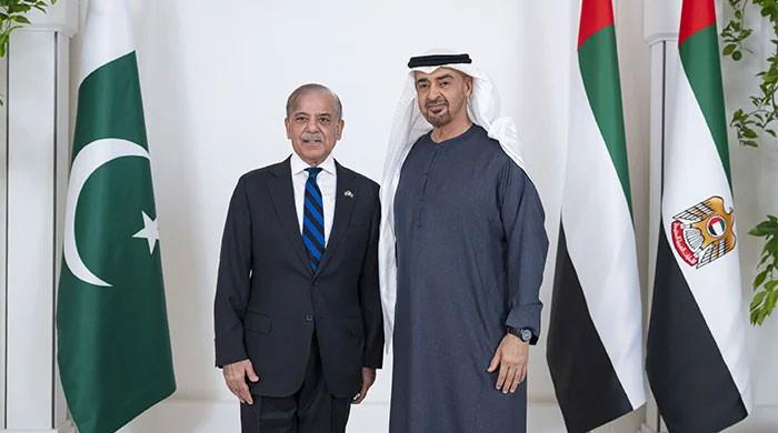 UAE president to pay first official visit to Pakistan on Dec 26