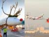 WATCH: Dubai's Emirates turns A380 into festive 'Sleigh380' for Christmas