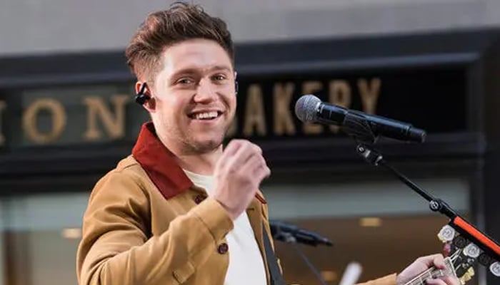 Niall Horan switches up singing career with business venture