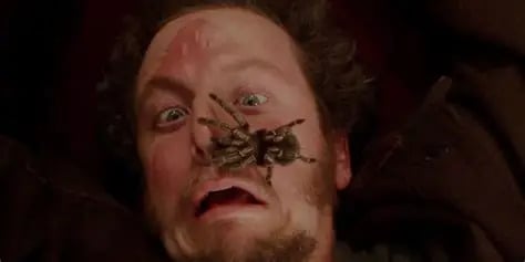 Home Alone Daniel Stern delights fans with major update about movie