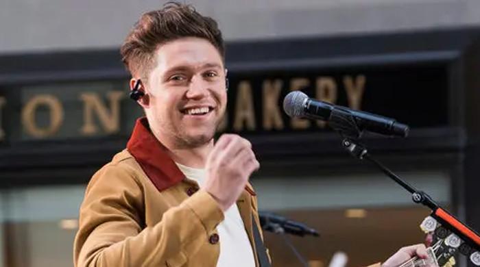 Niall Horan steps in new direction with professional career