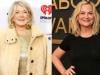 Amy Poehler jokes about hosting Martha Stewart on show