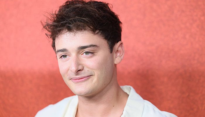 Noah Schnapp starred as Will Byers in Netflix science fiction horror series