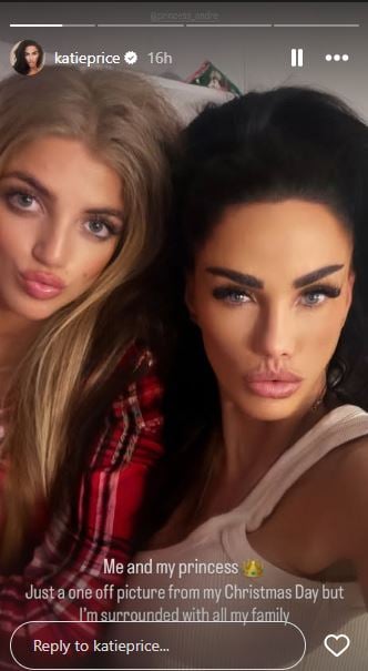 Katie Price, Peter Andre split Christmas day co-parenting children