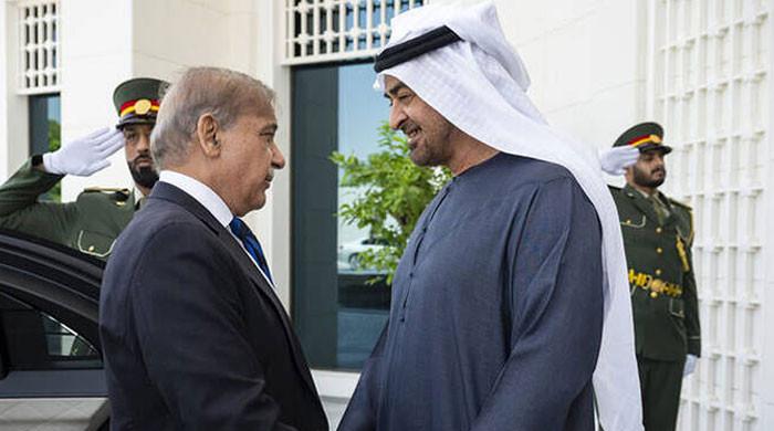 UAE president set to arrive in Pakistan today on maiden official visit