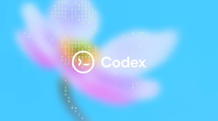 AI coding assistant Codex and Claude's usage limits increased amid Christmas holiday