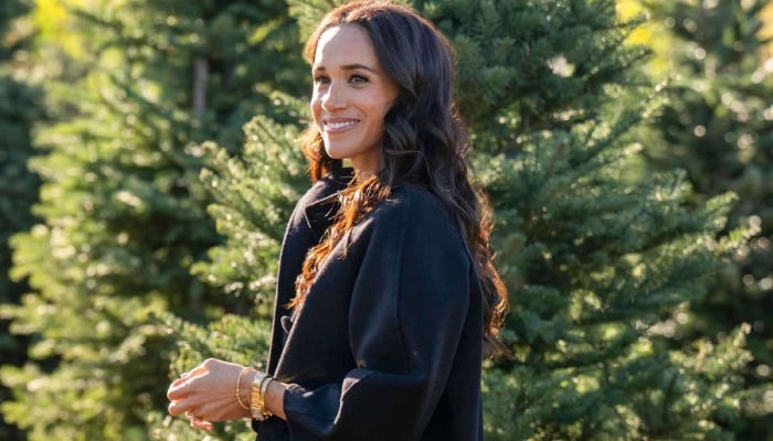 Meghan Markle to showcase star power in 2026 as opportunities are on cards