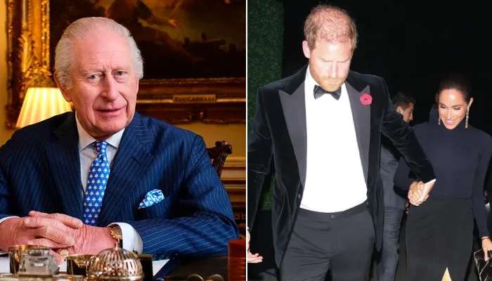 Harry and Meghans moves still affect the monarchys image