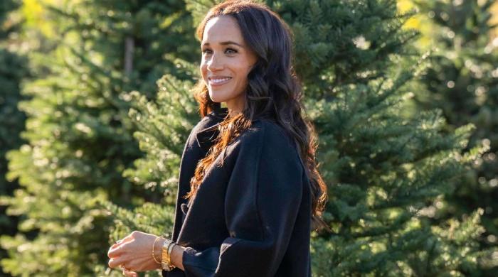 Meghan Markle to showcase star power in 2026 as opportunities are on cards