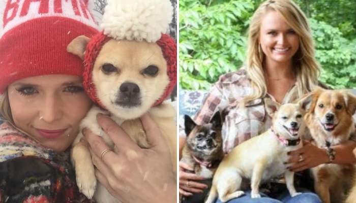 The Grammy-winning musician has had nine rescue dogs over the years