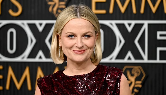 Amy Poehler recalls verbal spat up in the air