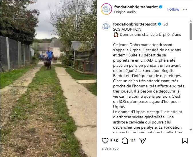 Brigitte Bardot last Instagram post days before her passing