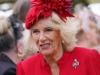 Royal family issues update on Queen Camilla's beloved partner: 'Busy year' 