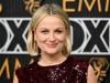 Amy Poehler recalls verbal spat up in the air