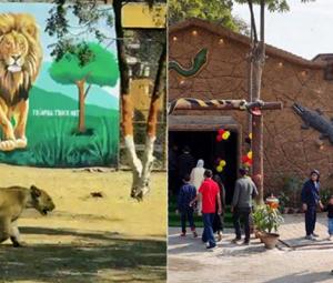 WATCH: Karachi Zoo gets new lion enclosure, Reptile House