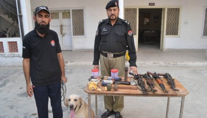 A sniffer dog pictured with its handler beside a table set with confiscated weapons and ammunition. &mdash; Reporter