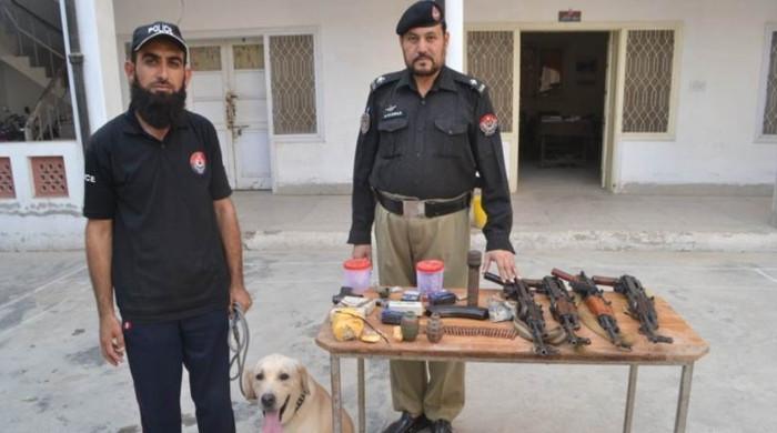 Peshawar Police issue performance report of K9 Unit's sniffer dogs