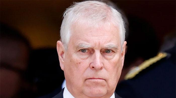 Andrew 'Air Miles Andy' files fly back into turbulence