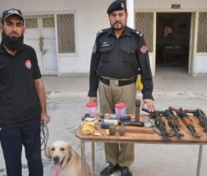 Peshawar Police issue performance report of K9 Unit's sniffer dogs
