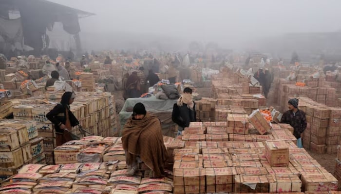 People cover themselves to stay warm during heavy fog, early in the morning at the fruit wholesale market on the outskirts of Peshawar, Pakistan January 9, 2024. — Reuters
