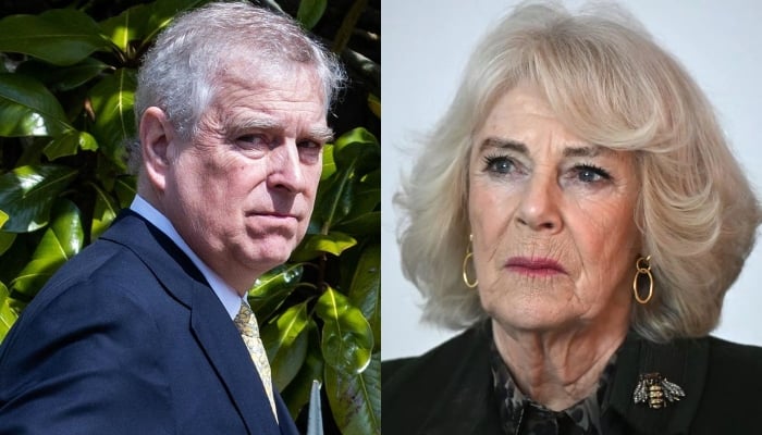 Queen Camilla shows no tolerance for abuse amid Andrew fallout