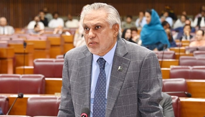 Deputy Prime Minister and Foreign Minister Senator Ishaq Dar. —  X@NAofPakistan