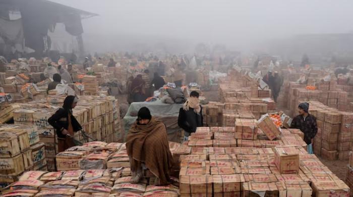 What was Pakistan's 2025 story?