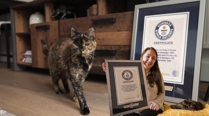 Meet Flossie, world's oldest cat who celebrates landmark birthday