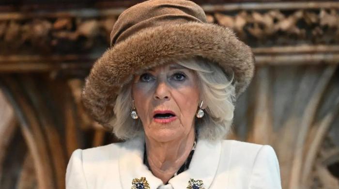 Queen Camilla to face unexpected challenges in 2026?