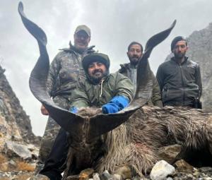 Russian national hunts Kashmiri Markhor in Chitral for $68,000