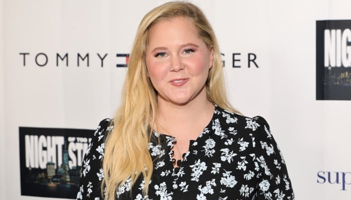 Amy Schumer rings in New Year’s Eve solo after Chris Fischer split