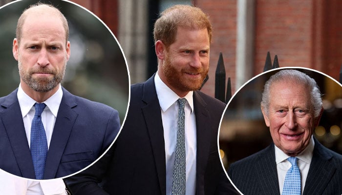 Prince Harry’s reunion with William harder than with King: Truth revealed