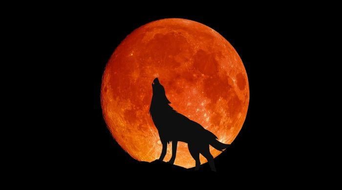 First full moon of 2026: January's ‘Wolf Supermoon' rises with Jupiter 