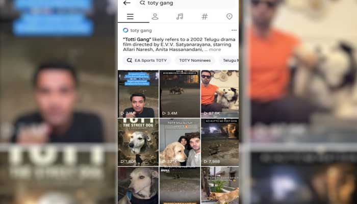 — Instagram Search