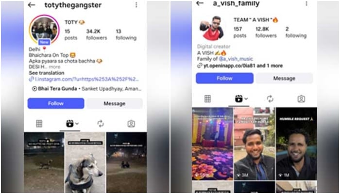 Screengrabs of accounts dedicated to the Toty cause — Instagram